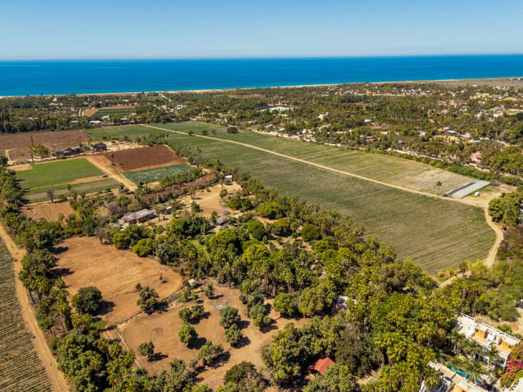 El Tule, San Jose Corridor, BS | Los Cabos For Sale